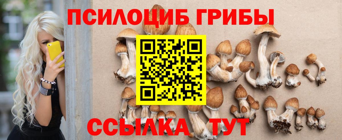 Галлюциногенные грибы прущие грибы Кизилюрт